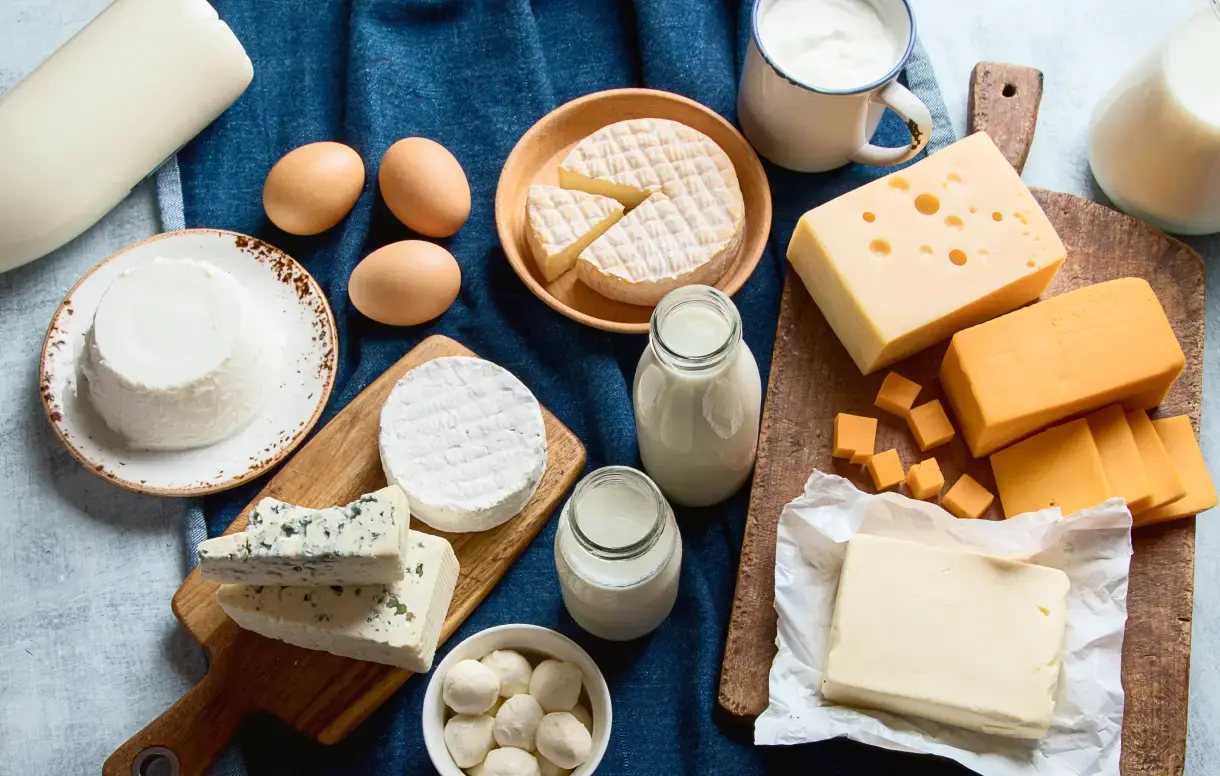 Functional ingredients for dairy products