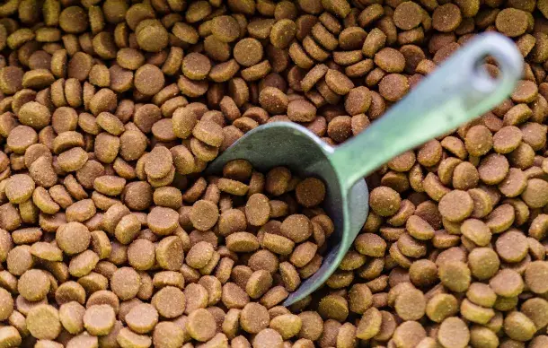 Scoop resting in a pile of dry pet food kibble.