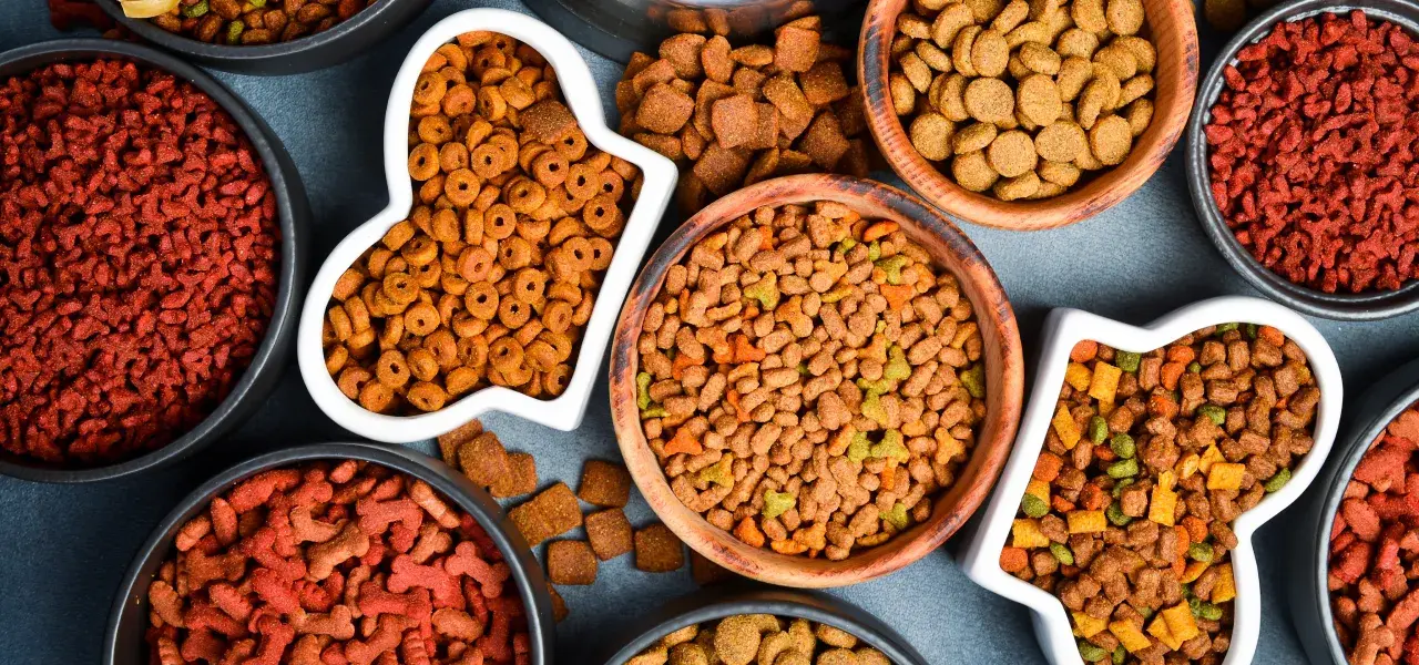 Assorted bowls of dry kibble in various shapes and colors.
